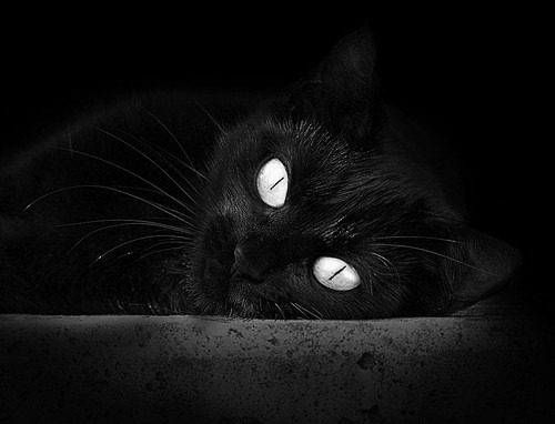 德甲球队动态负荷管理系统对赛季疲劳曲线预测的实证评估,全年动态负荷计算