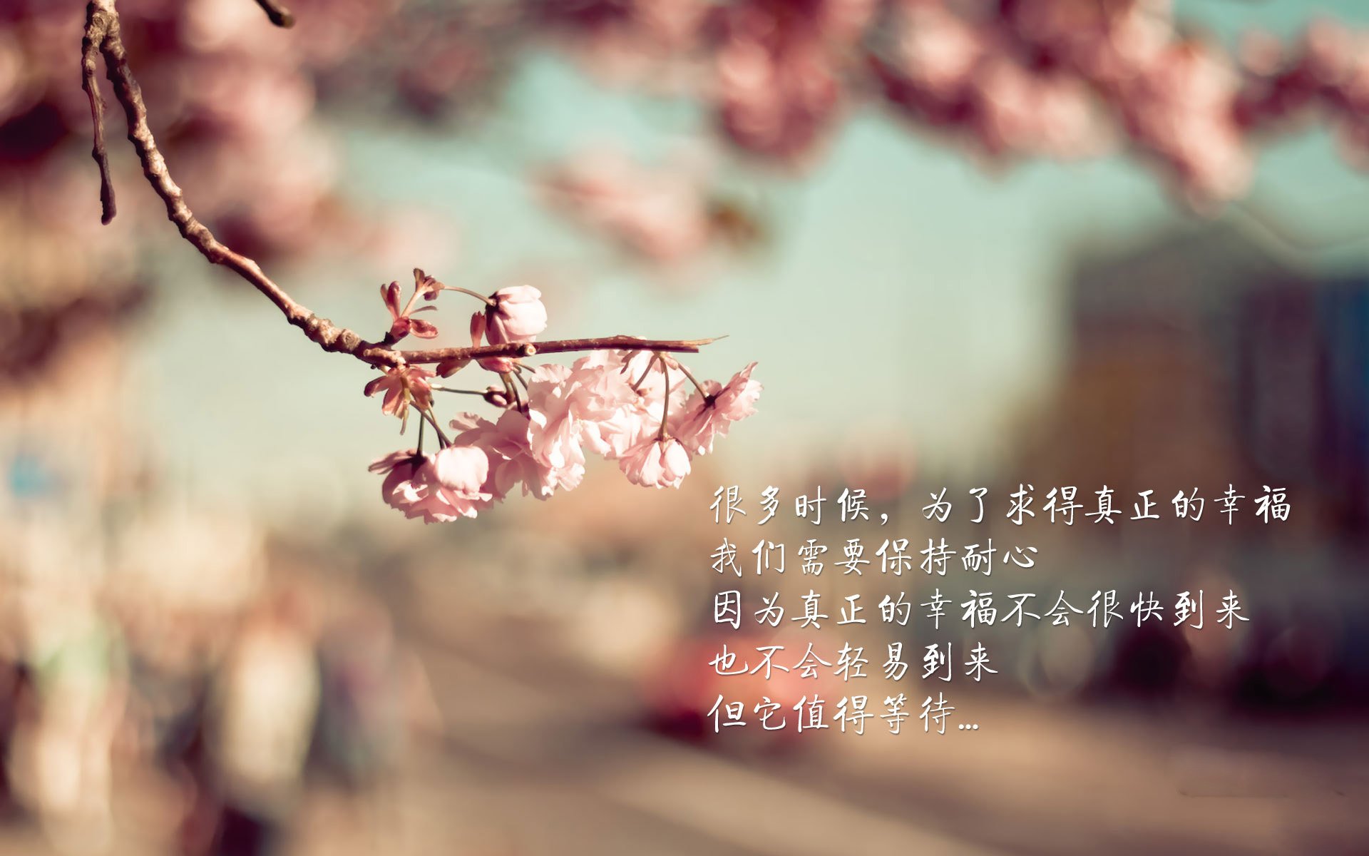 中国三人女篮强化传切配合 提高得分效率，中国篮球女子三人