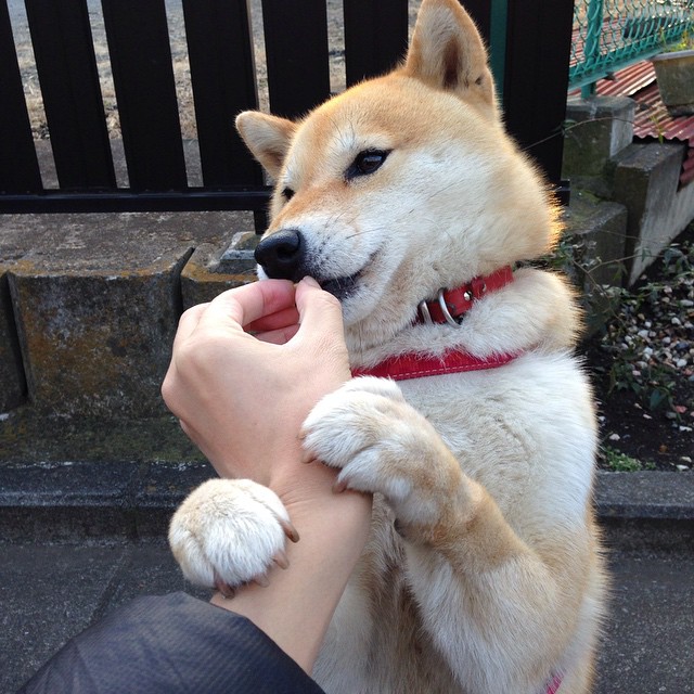 乐鱼体育app网址-意甲球队结合数据分析优化中场传球线路布局，意甲球队结合数据分析优化中场传球线路布局的方法