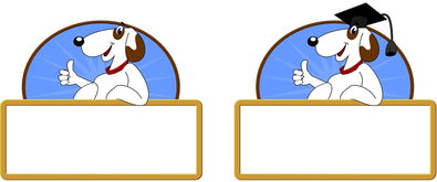 乐鱼体育-校园体育节活动对学生参与度的促进作用，学校体育节活动描述