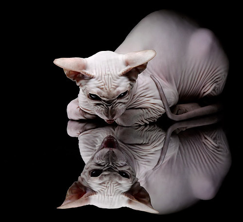 中国男篮强化终结能力应对关键时刻压力,中国男篮最新规则