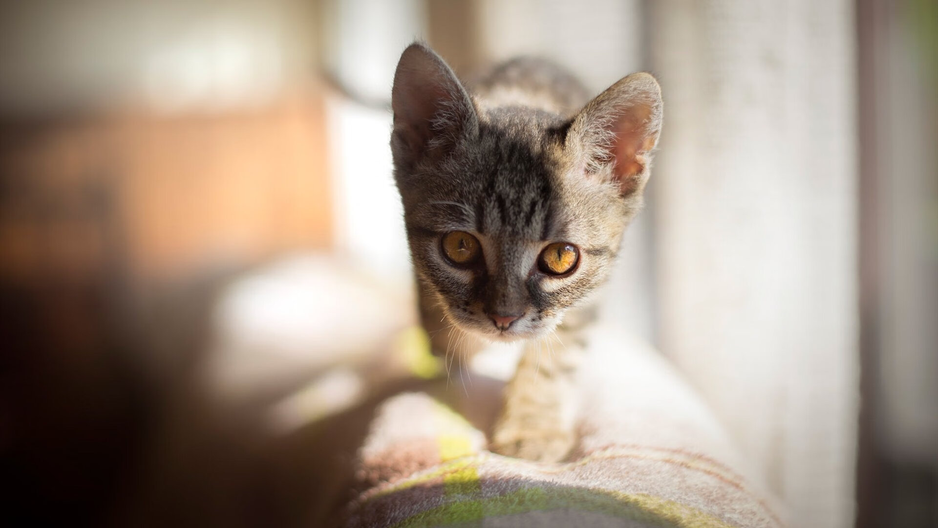 世界杯逆转之夜:英雄豪杰扭转乾坤!,世界杯决赛逆转